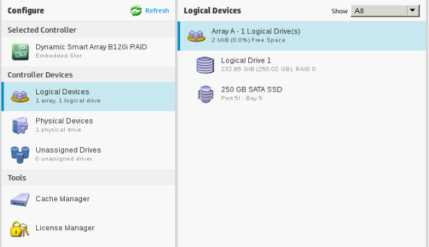 Install SSD to HP Microserver Gen8 - Create Storage