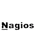 Nagios - Using passive checks without agent